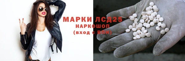 стафф Абинск