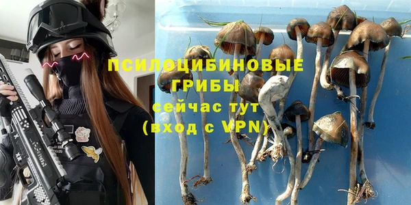 стафф Абинск