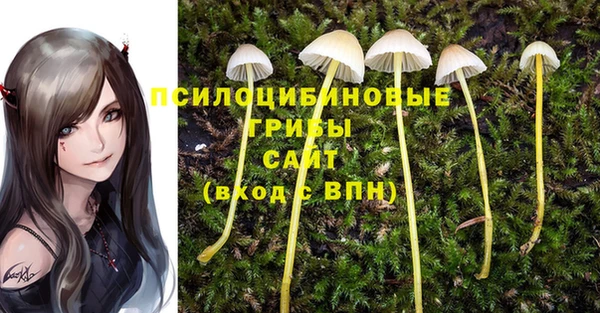 стафф Абинск