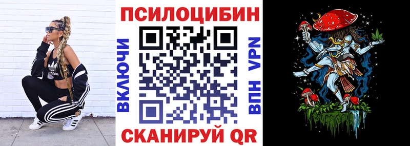 блэк спрут маркетплейс  Новочеркасск  Галлюциногенные грибы прущие грибы 