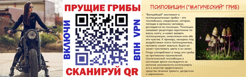 Галлюциногенные грибы Cubensis Новочеркасск