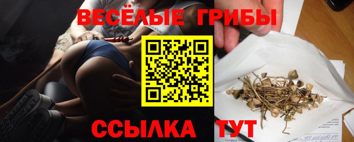 сколько стоит  Псилоцибиновые грибы Magic Shrooms  Галлюциногенные грибы MAGIC MUSHROOMS  Вход с VPN  Новочеркасск 
